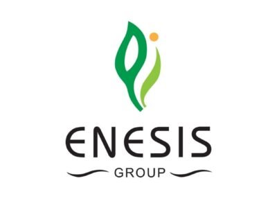 Grupo Enesis
