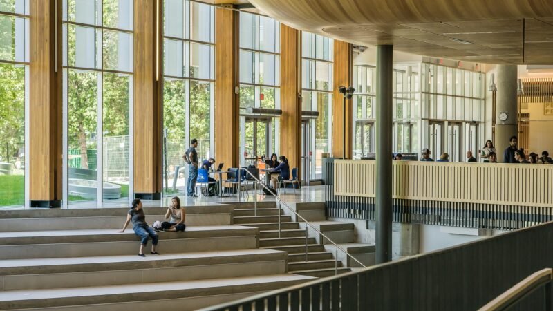 Explorar el mundo de carreras universitarias